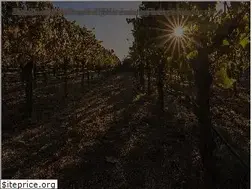 Sites similar to zdwines.com