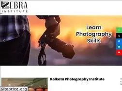 Sites similar to zebrainstitute.com
