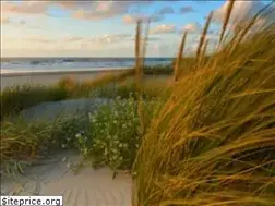 Sites similar to zeeuwselandhoeve.nl