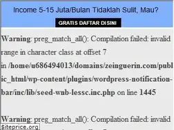 Sites similar to zeinguerin.com