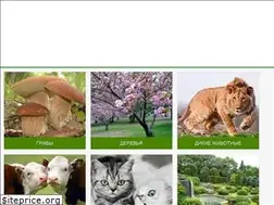 Sites similar to zelenyjmir.ru