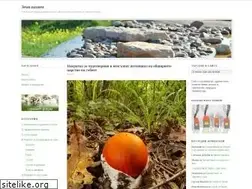 Sites similar to zemianazaem.com