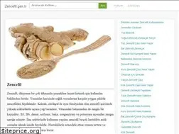 Sites similar to zencefil.gen.tr
