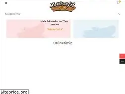 Sites similar to zencefilaktar.com