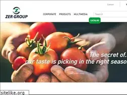 Sites similar to zergroup.com