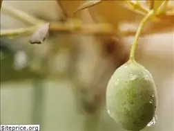 Sites similar to zetay.com.tr