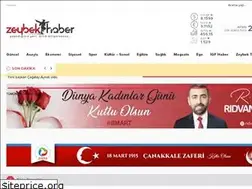 Sites similar to zeybekhaber.com