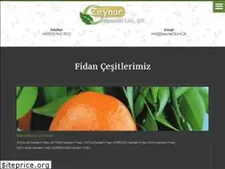 Sites similar to zeynar.com.tr