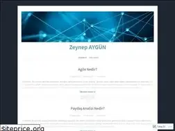 Sites similar to zeynepaygun.wordpress.com
