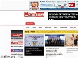 Sites similar to zeytinburnutimes.com