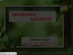 Sites similar to zeytinfidanmerkezi.com