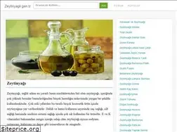 Sites similar to zeytinyagli.gen.tr
