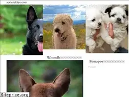 Sites similar to zh.acelenakliye.com