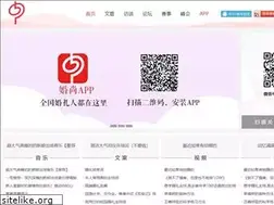Sites similar to zh41.com