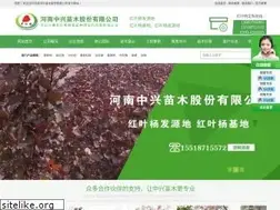 Sites similar to zhhyy.net