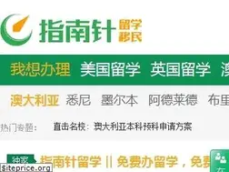 Sites similar to zhinanzhen.org