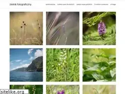 Sites similar to zielarka.wordpress.com