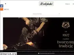 Sites similar to zielinski.waw.pl