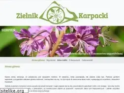 Sites similar to zielnik-karpacki.pl