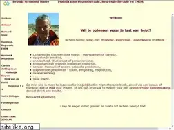 Sites similar to zielsveel.nl