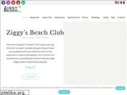 Sites similar to ziggybeachtulum.com