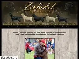 Sites similar to zinfndellabradors.com