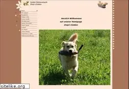 Sites similar to zinjas-golden.de
