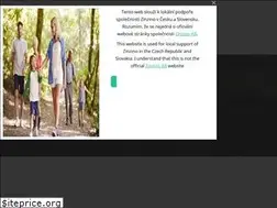 Sites similar to zinzinogroup.com