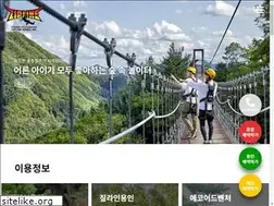 Sites similar to ziplineyongin.co.kr