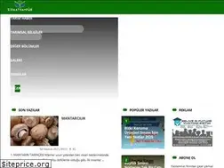 Sites similar to ziraatkampus.com