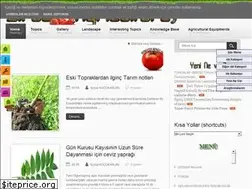 Sites similar to ziraatyapma.blogspot.com