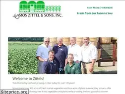 Sites similar to zittels.com
