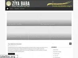 Sites similar to ziyababa.org.tr