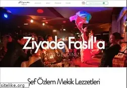 Sites similar to ziyadefasil.com
