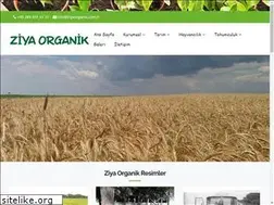 Sites similar to ziyaorganik.com.tr