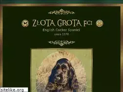 Sites similar to zlotagrota.poznan.pl