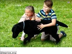 Sites similar to zlotarybka.info