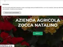 Sites similar to zoccanatalino.com