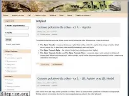 Sites similar to zolw.info