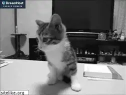 Sites similar to zombiesarecoming.com