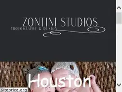 Sites similar to zontinistudios.com