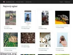 Sites similar to zooberza.com