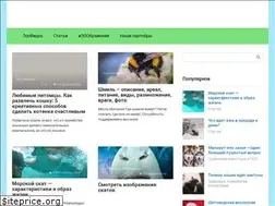 Sites similar to zoolandy.ru