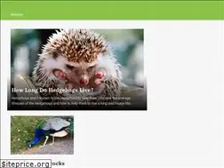 Sites similar to zoolity.com