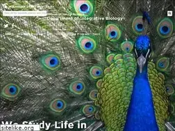 Sites similar to zoology.msu.edu