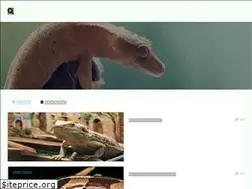 Sites similar to zooo.tokyo