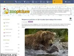 Sites similar to zoopicture.ru