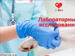 Sites similar to zoovet74.ru
