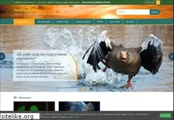 Sites similar to zoowioska.pl