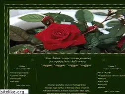 Sites similar to zosia.piasta.pl